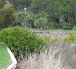 Ocean Creek Golf Club - Fripp Island Resort - hole 8