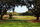Caledonia Golf & Fish Club - 7th tee