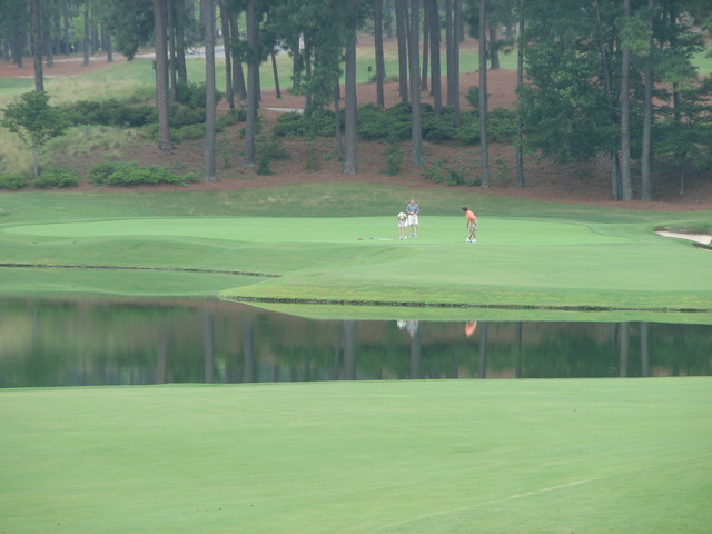 Pinehurst No. 4