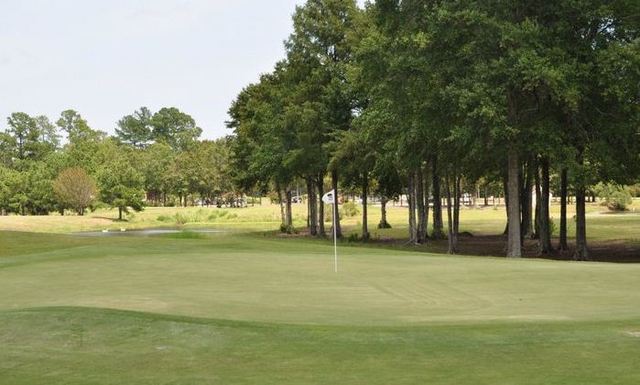 River Oaks Golf Plantation - greens