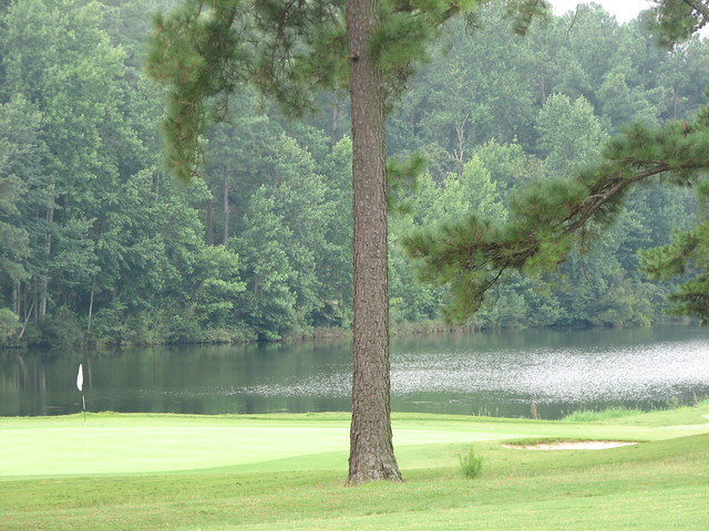 Check out Foxfire Golf and Travel's East course