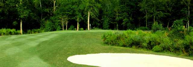 Wescott Plantation Black Robin Nine: #2