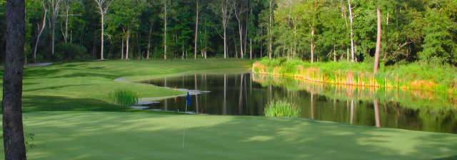 Wescott Plantation Oak Forest Nine: #8