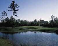 Eagle's Pointe GC: #8
