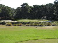 Port Royal Golf Club - Barony's #1