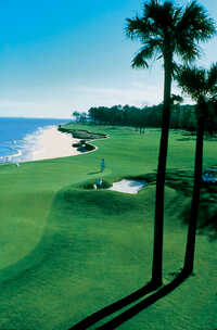 Melrose Club: palm trees on #18