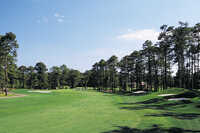 Possum Trot Golf Club