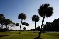 Ocean at Sea Pines Resort: #15