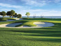 Palmetto Dunes - Jones #10 close-up