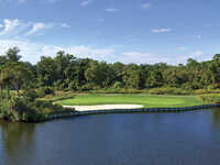 Palmetto Dunes - Arthur Hills #16