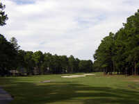 Rose Hill: #8