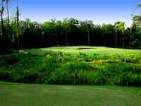 Wescott Plantation Burn Kill Nine: #8