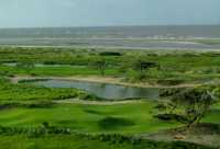 Ocean at Kiawah Island Resort - Resort