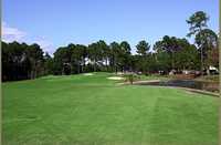 River Oaks Golf Plantation