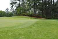 Houndslake CC: putting green