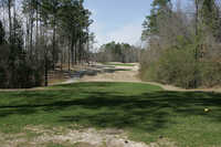 Traces GC - Meadows: #6