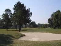 Shannon Greens GC: #3