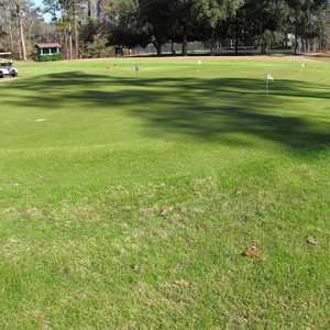 Dogwood Hills GC: practice area