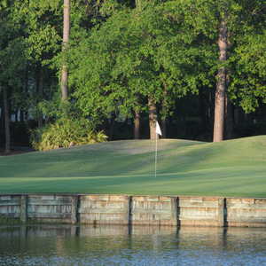 Cupp @ Palmetto Hall - #18