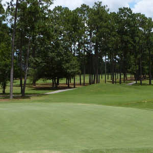 Pine Forest CC