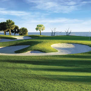 Palmetto Dunes - Jones #10 close-up