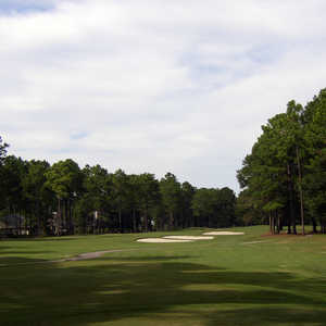Rose Hill: #8