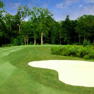 Wescott Plantation Black Robin Nine: #2