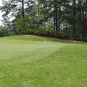 Houndslake CC: putting green