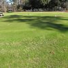 A view of the practice putting green at Dogwood Hills Golf Club