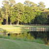 Cupp Course at Palmetto Hall: View from no. 16