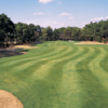 A view of fairway at Possum Trot Golf Club