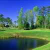 Ravine No. 7 has a green tucked behind a lake at Waterway Hills.