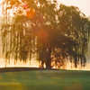 Sunrise at Northwoods Golf Course