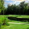 Wescott Plantation's Black Robin Nine: View from the 4th hole