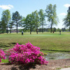 A view from Wyboo Golf Club