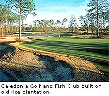 Caledonia Golf Club