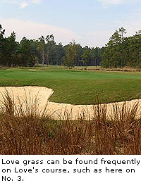 Anderson Creek Golf Club