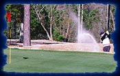 Bayonet at Puppy Creek