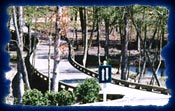 Bayonet at Puppy Creek