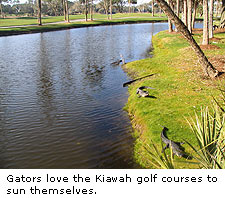 Kiawah Golf Course