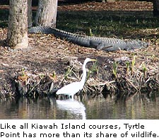 Kiawah Island