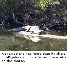 Kiawah Island