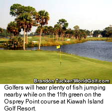 Osprey Point Golf Course - Hole 11
