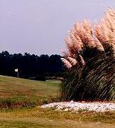 The Pearl Golf Course