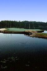 The Pit Golf Links