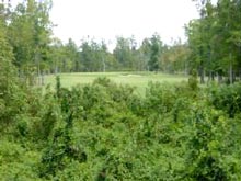 Stonebridge Golf Club
