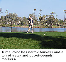 Turtle Point