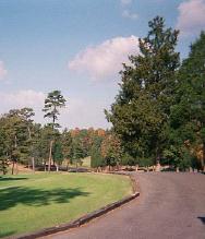 Winston Salem