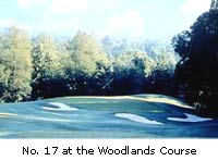 woodlands