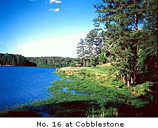 Cobblestone Golf Club